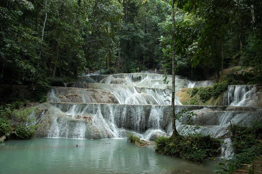 [Imagen: Oryzias-Kendari-habitat-Sumbersari-Wasserfall.jpg]