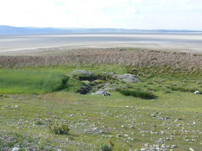 This tiny stream draining into what remains of Lake Acı may today represent the last remaining habitat of this species.