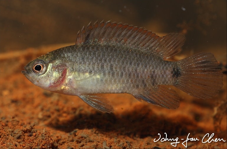 Young male individual.