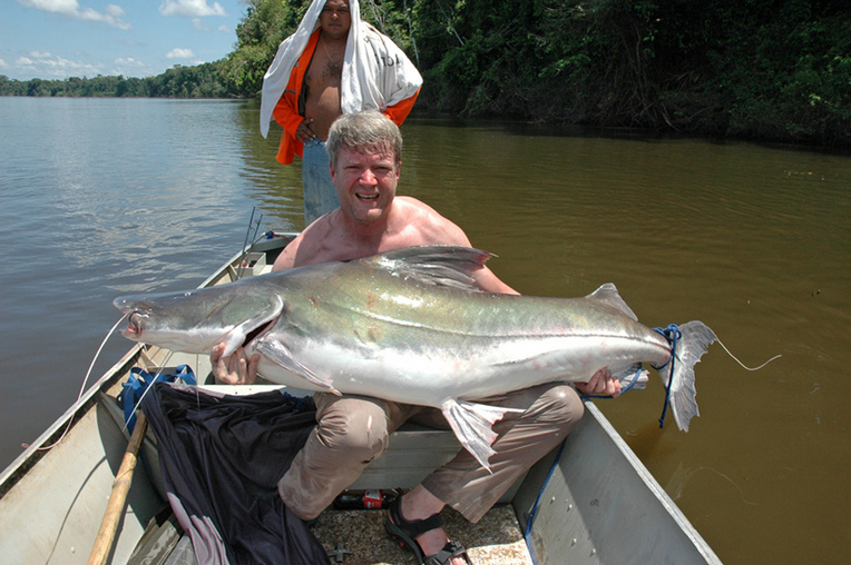 52.6 kg specimen also captured in the Courantyne/Corantijn river, Suriname.