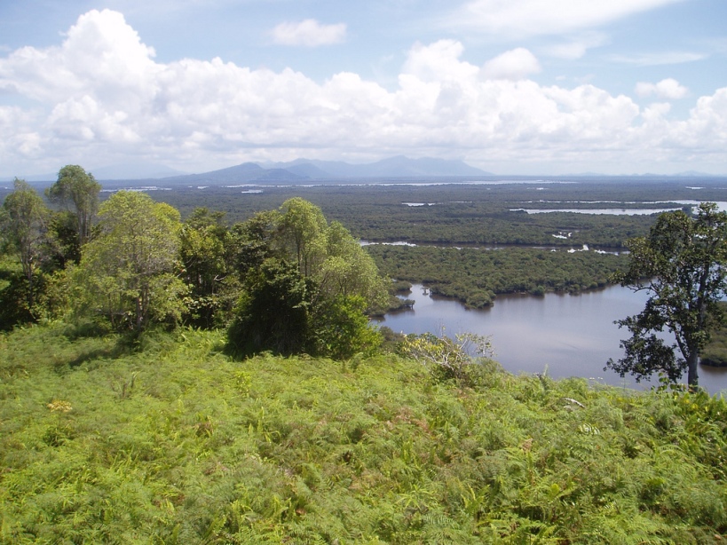 This species is found in the Kapuas Lakes region in western Borneo - one of the most biodiverse lake systems in the world.