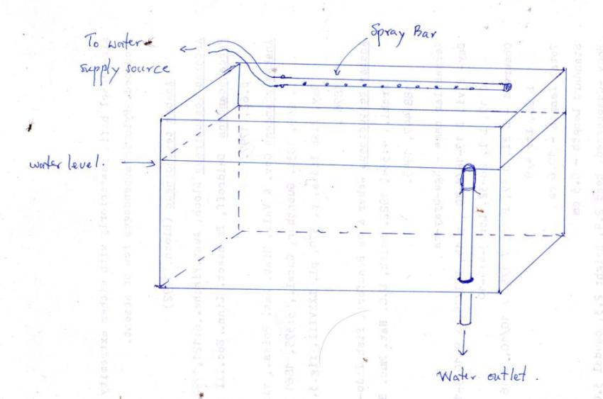 Schematic of a spawning set-up used to produce the species commercially, kindly provided by Tin Win of Hein Aquarium, Yangon.