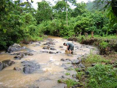 A collection locality with turbid water caused by upstream logging/mining activity.