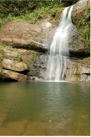 A habitat of G. ocellatus in Padawan sub-district, Kuching Division, Sarawak.