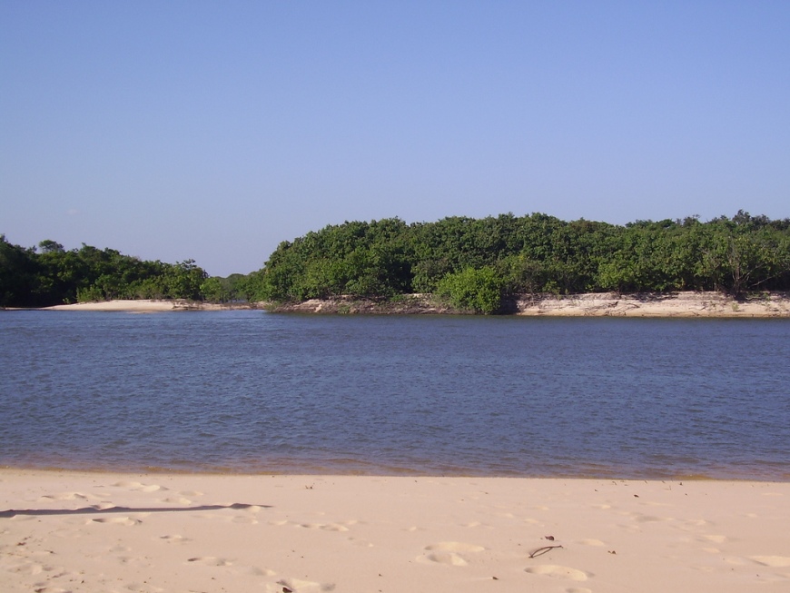 The blackwater Río Cinaruco, Venezuela, is a natural habitat of this species.