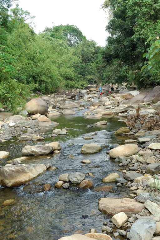 Habitat of the species in Chanthaburi Province, eastern Thailand, close to the border with Cambodia.