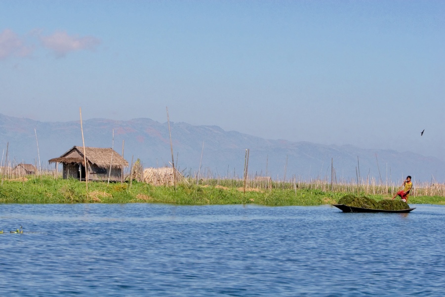 S. resplendens is endemic to the Lake Inlé basin in Shan state, Myanmar.