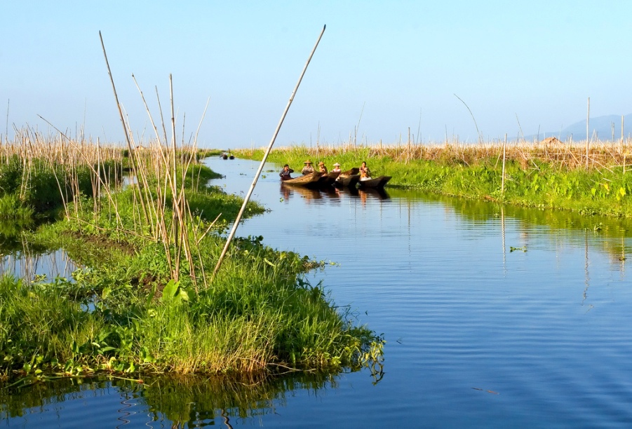 Inle is famed for its floating 'gardens' which provide a valuable habitat for fish species.