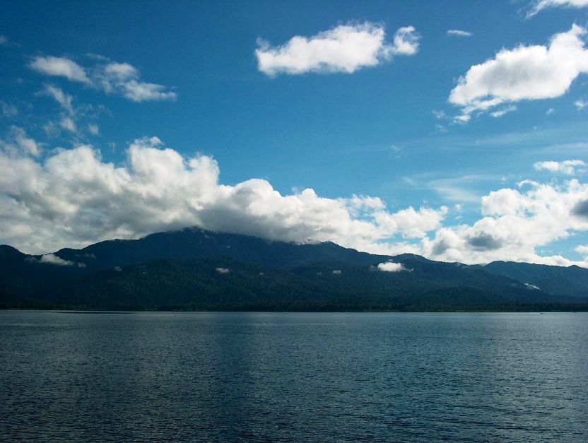 Lake Lindu, Sulawesi is the only known habitat of O. sarasorinum.