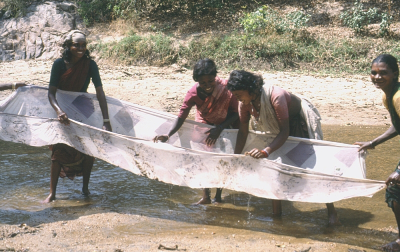 The makeshift 'net' is a sari belonging to one of the girls, unfurled and used while she continues to wear it!