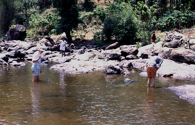 Entomologist Bert Gustafsson (left) and Erik Åhlander seining the Deviyar River, Kerala.