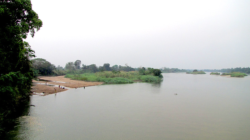 The Mae Ping river, a tributary of the Chao Phraya in central Thailand is a natural habitat of the species.