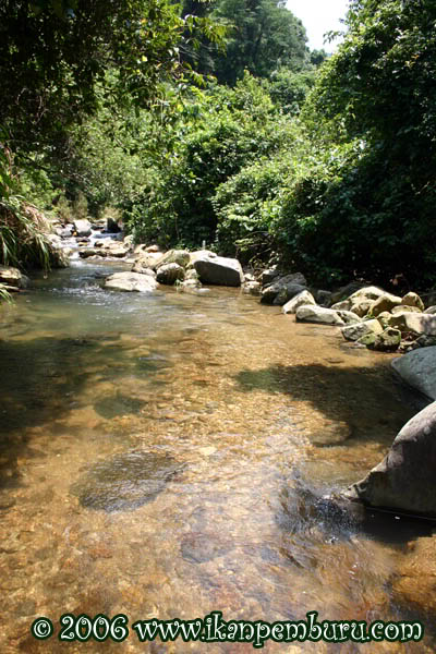 Habitat of the species near Shenzhen city, Guangdong province, southeastern China.