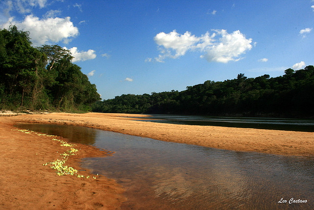 ...and according to official records is known only from the rio dos Marmelos, an affluent in the rio Madeira basin in Amazonas state, western Brazil.