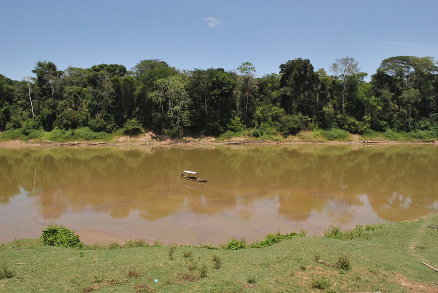 The rio Purus in Brazil is a natural habitat of this species.