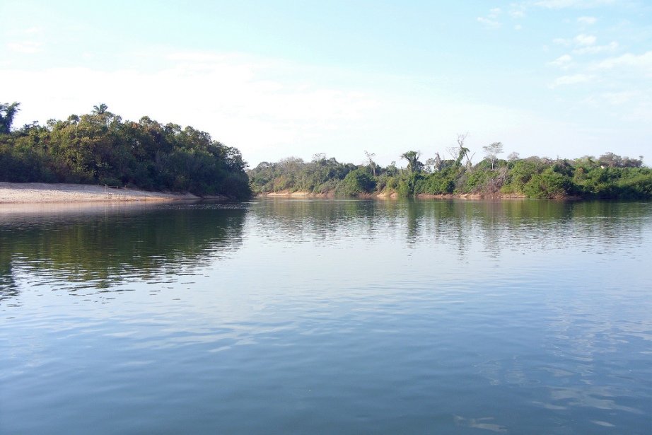 Habitat in the rio Tocantins.