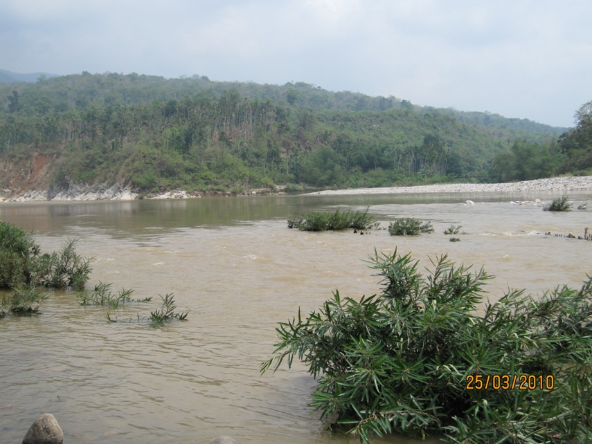 The Shella River in Meghalaya state, northeastern India is a natural habitat of this species.