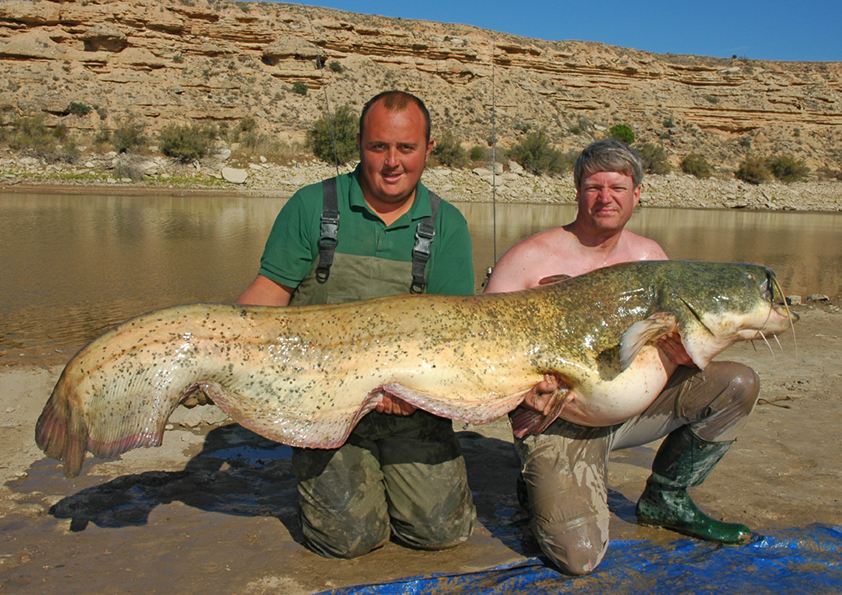 70.75 kg specimen, also from the Ebro.