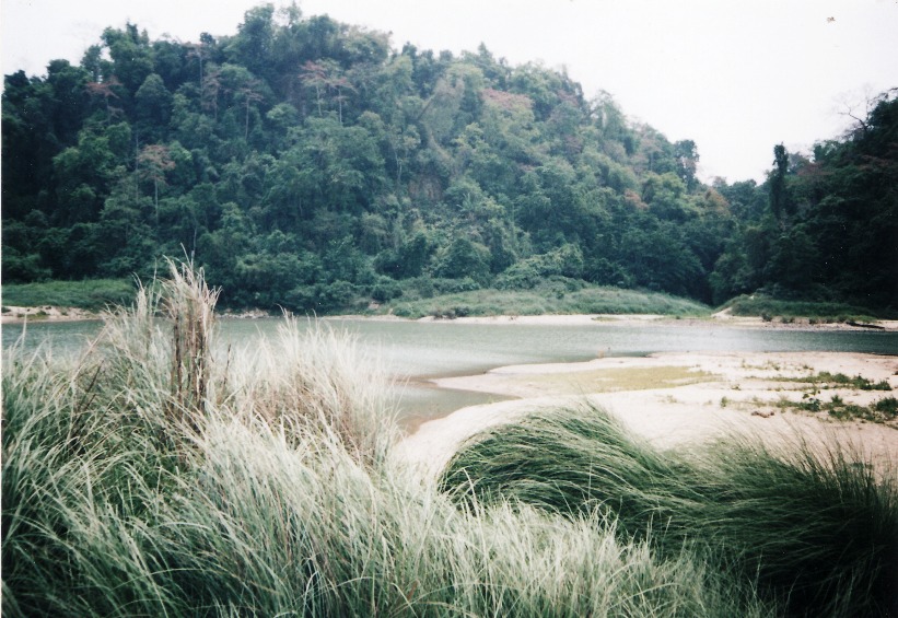 The Simsang River drainage, Meghalaya state, northeastern India is a natural habitat of this species.