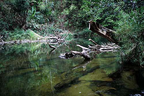 The Songgaria River.