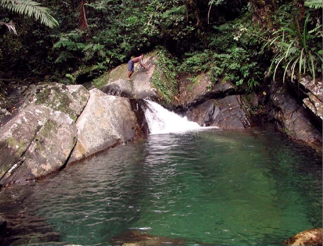Another view of the Awaetawa River at over 600 m amsl.