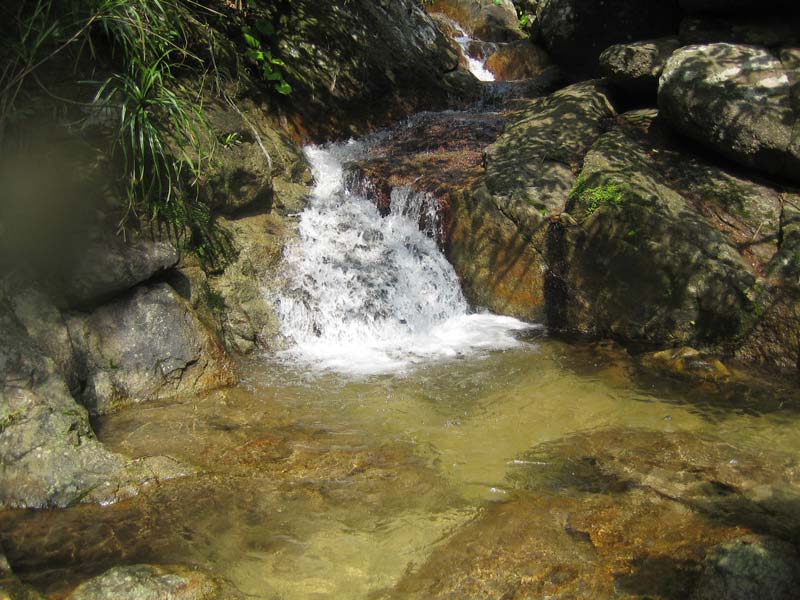 A typical habitat of Stiphodon spp. on Okinawa Island, Japan.