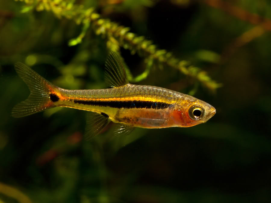 ...though the colour can also vary depending on mood and the quality/angle of light.