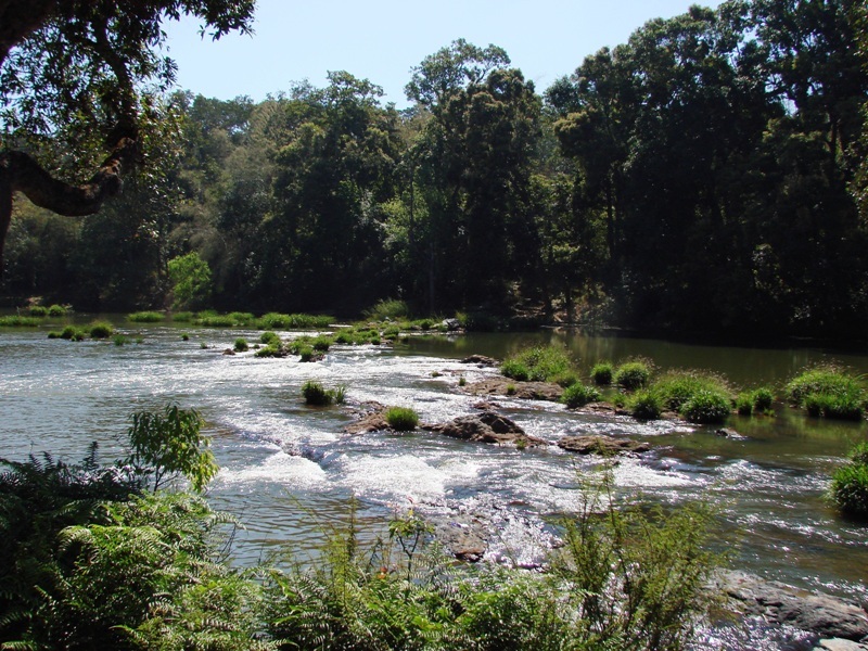 Habitat in the Cauvery River basin, Karanataka state, southern India.