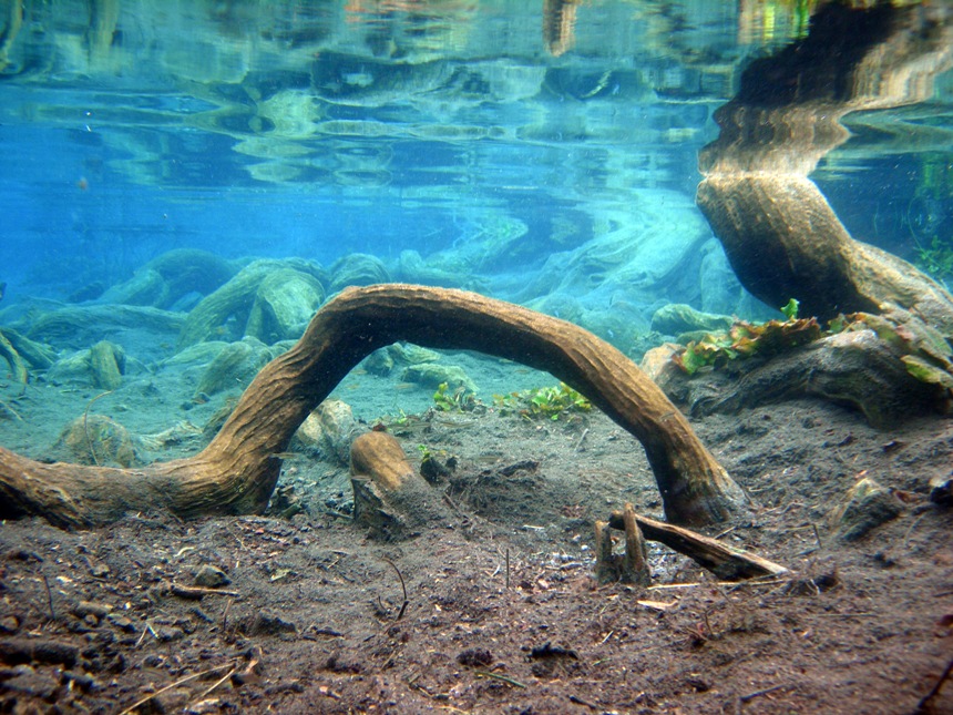 The water in La Media Luna is typically very clear.
