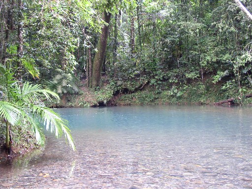 Habitat in New Guinea.