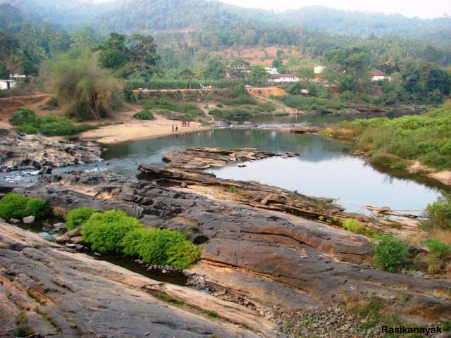 Habitat in the Bhadra River basin near Kalasa, Chikamagalur district, Karnataka state.