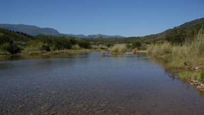 Habitat in the Nanlahe River, Yunnan province, China.