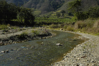 Habitat in the Mozhehe River system, Yunnan province, China.