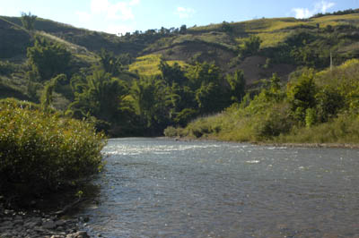 Biotope in the Mengyejiang River system, Yunnan province, China.