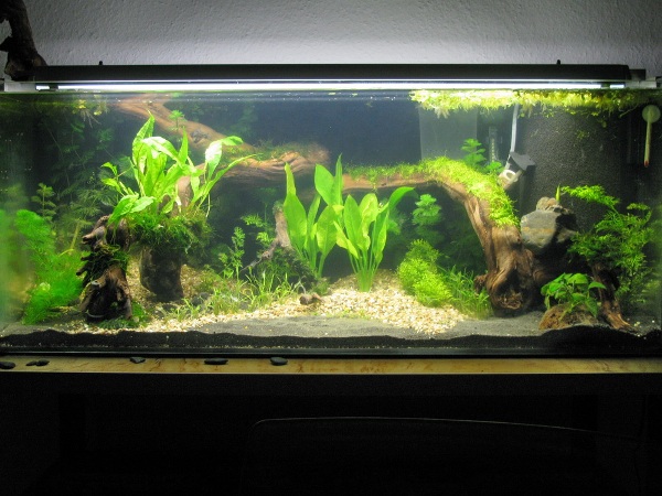 HMF article 009