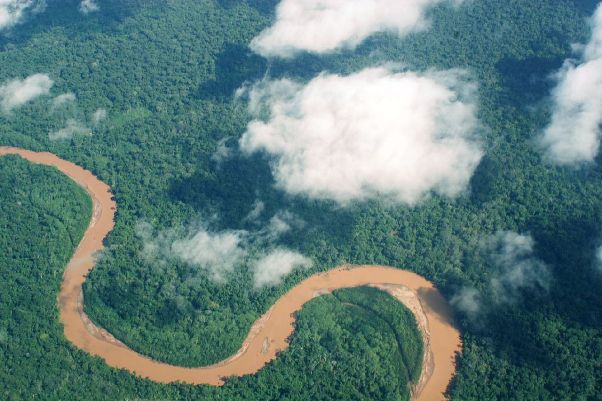 A classic Amazon view, but many of the fish we keep inhabit tributaries hidden beneath the tree canopy and shaded from the sun