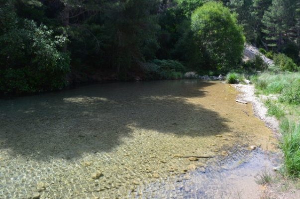 A clearwater tributary in the Río Ebro drainage, Spain