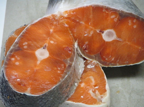 Henneguya salminicola, a protozoan parasite seen here in the flesh of a coho salmon caught off the West Coast of Canada
