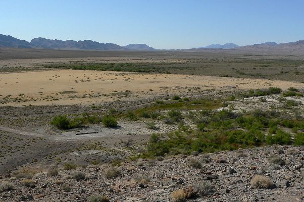 Ash Meadows National Wildlife reserve is the largest oasis in the Mojave Desert and is located in southern Nevada state
