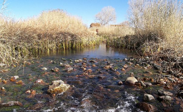 The restored spring at Balmorhea State Park