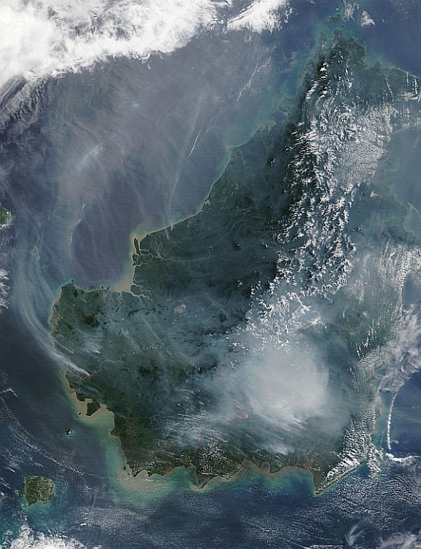Satellite photo of the island of Borneo taken August 19 2002 showing smoke from burning peat swamp forests