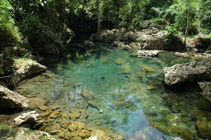 Type locality of the species in South Sulawesi Province, Sulawesi, Indonesia.