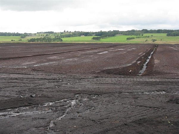 Mechanical harvesting of peat tends to cause irreversible damage to bog habitats. Compare this scene with the previous image