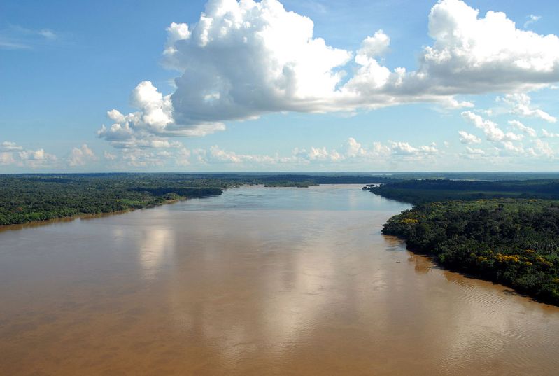 This species has been recorded from the rio Madeira, here pictured at Porto Velho, Rondônia state, Brazil.