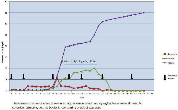 Typical patterns of ammonia, nitrite, and nitrate fluctuation in a new aquarium cycled using the 'fishless' method