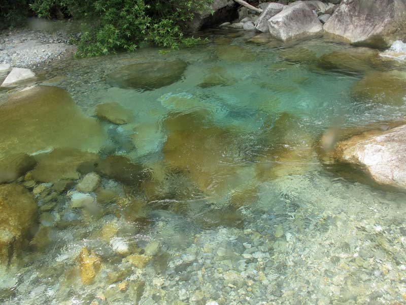 Typical habitat in Japan with other fishes at this particular including the loach Niwaëlla delicata.