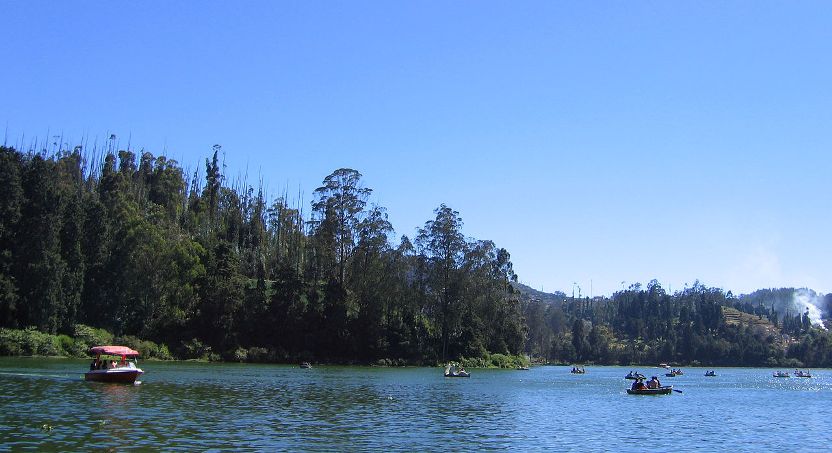 Ooty Lake in Tamil Nadu state, southern India is type locality of this species.