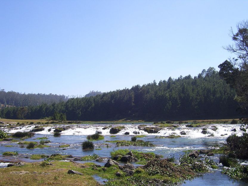 This species is known from the Pykara River in Tamil Nadu state.
