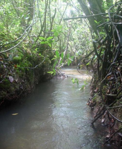 Another habitat in the Santa Maria/Torta basin.