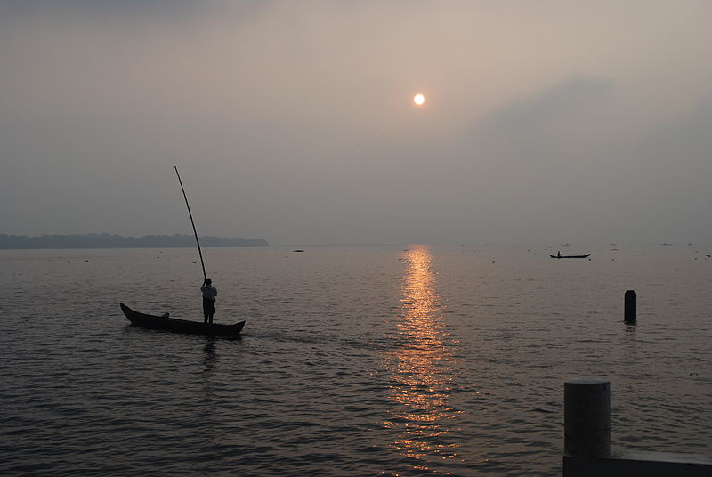 Vembanad Lake in Kerala state is a natural habitat of this species.